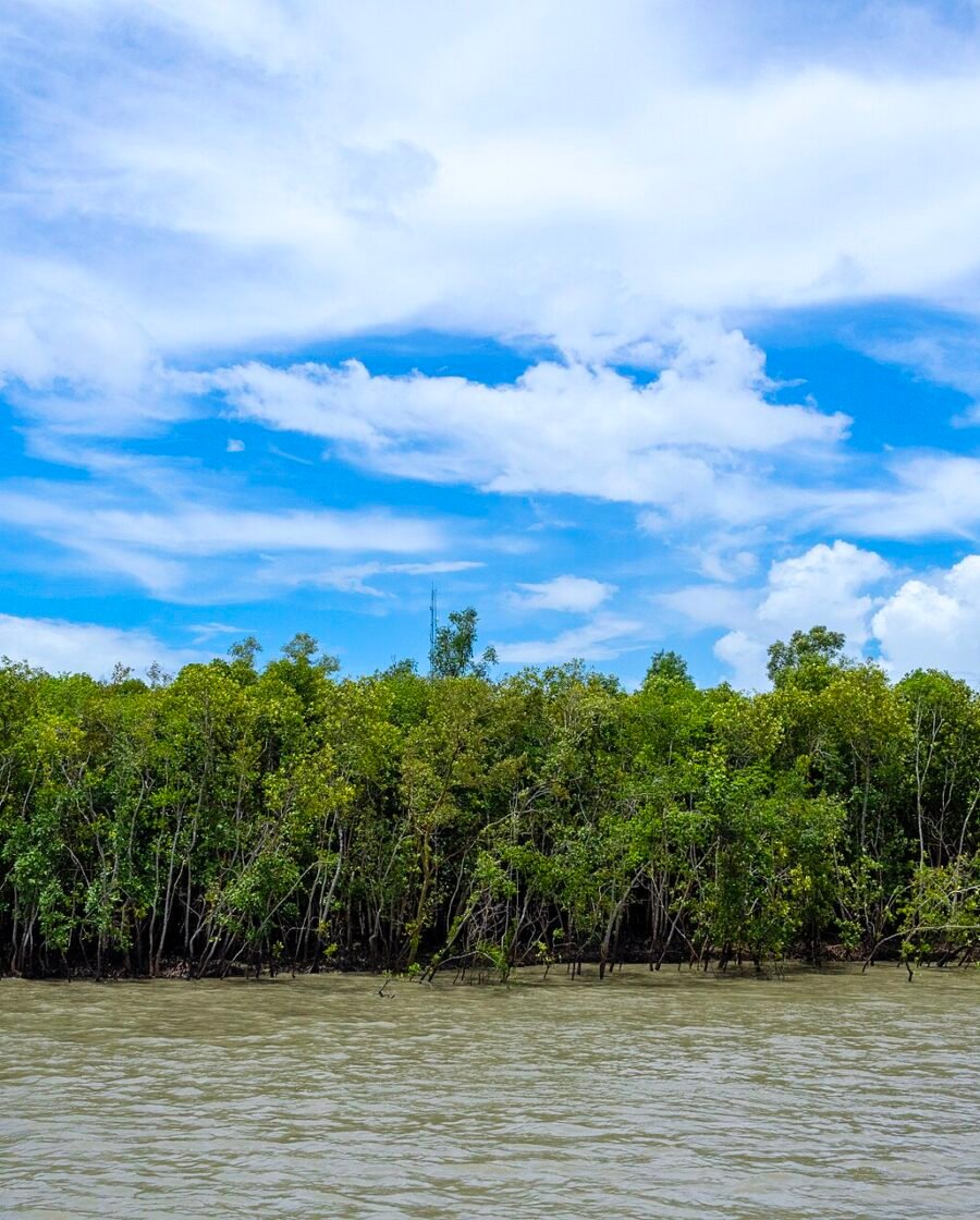 Mangrove channels of the Sundarbans in West Bengal