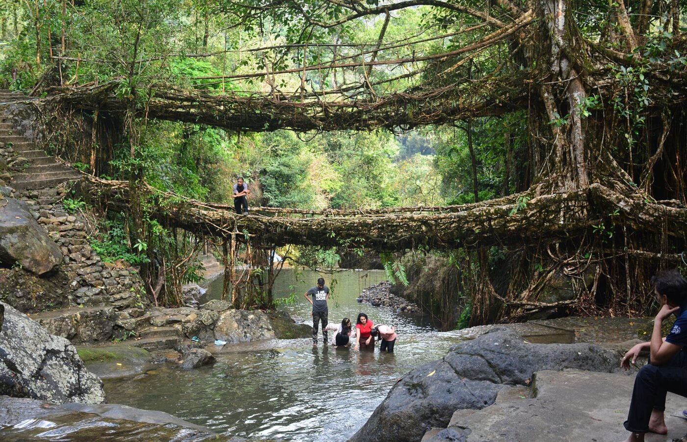 A double decker living root bridge in the forests of Meghalaya