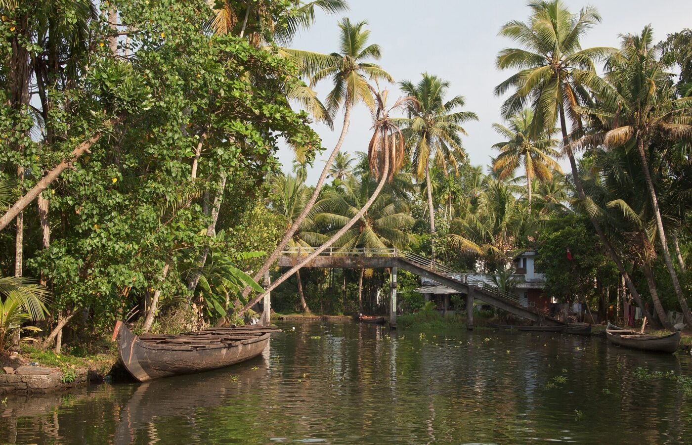 A palm lined canal in the Kerala backwaters