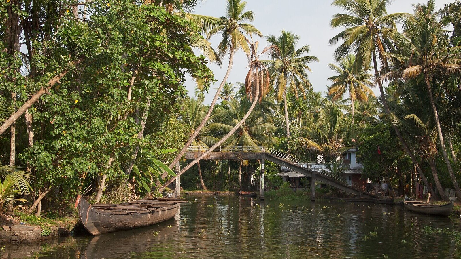 A palm lined canal in the Kerala backwaters