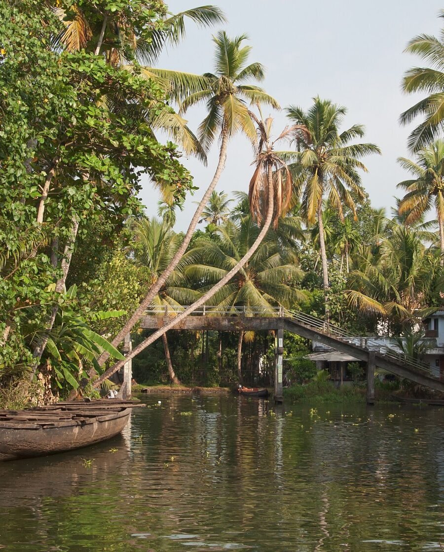 A palm lined canal in the Kerala backwaters